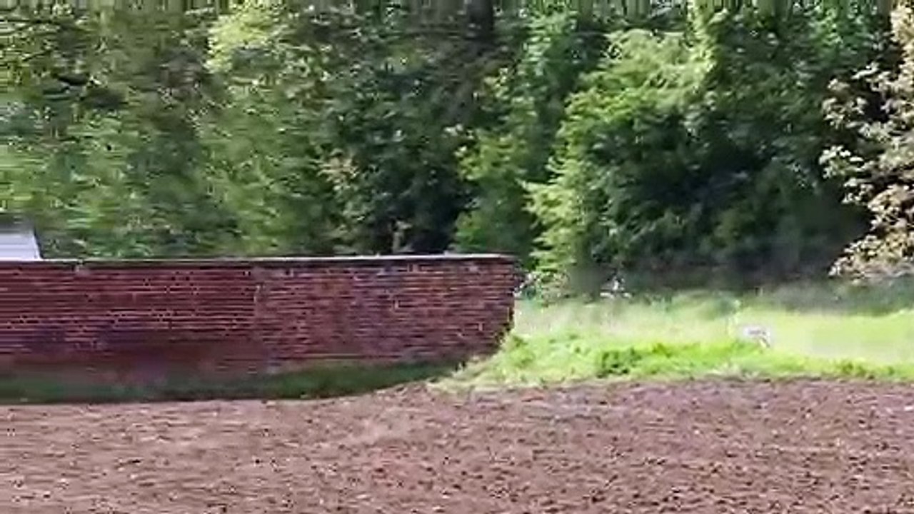 36è Rallye de Wallonie : Spéciale 9 - Vedrin