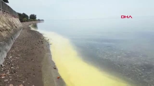 Çanakkale Assos Sahilinde Tedirgin Eden Görüntü