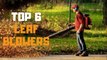 Best Leaf Blower in 2019 - Top 6 Leaf Blowers Review