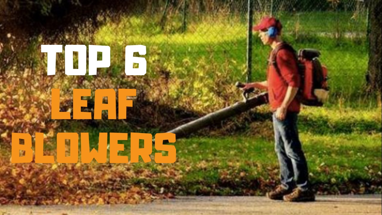Best Leaf Blower in 2019 - Top 6 Leaf Blowers R...