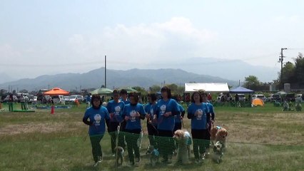 K9名物！犬の集団行動演技　西条チーム