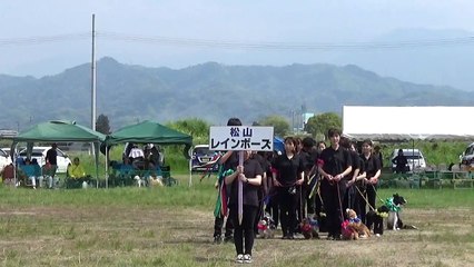 K9名物！犬の集団行動演技　松山チーム（レインボーズ）