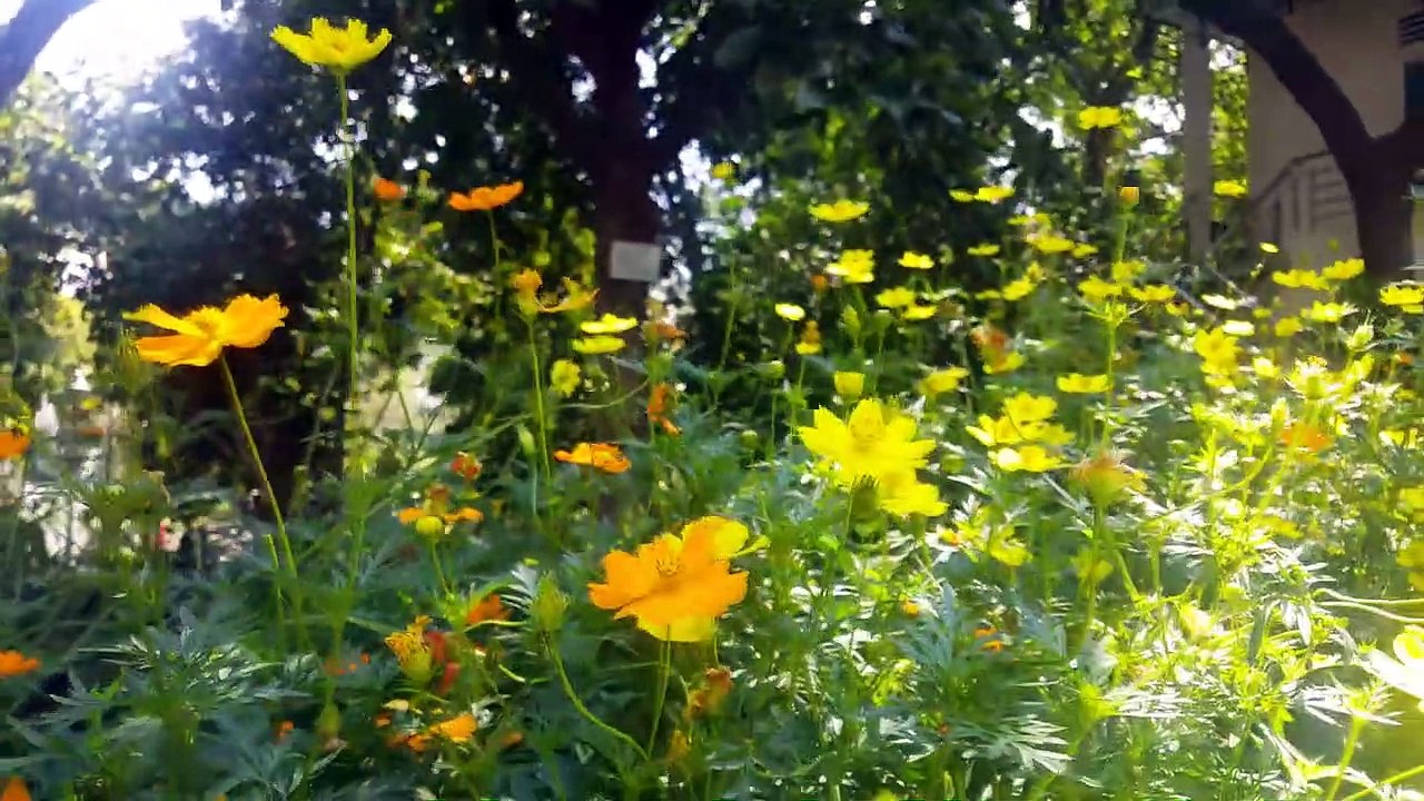 Breathtaking Colors of Nature in 4K II Beautiful Nature Sleep Relax Music 4K UHD TV Screensaver