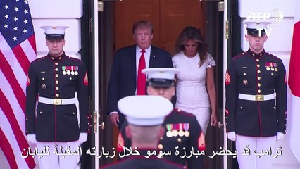 ترامب قد يحضر مبارزة سومو خلال زيارته المقبلة لليابان