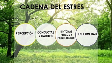 TED-Meditación y estrés-Dr. Daniel López Rosetti
