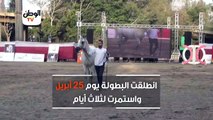 بحضور أحمد بلال.. ختام بطولة شامبيون  لجمال الخيول العربية المصرية