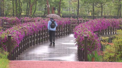 [날씨] 중부 구름 많고 포근...남해안·제주도 비 / YTN