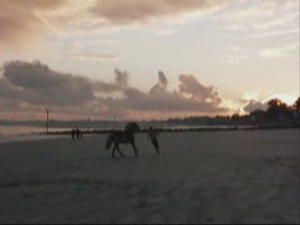 2007