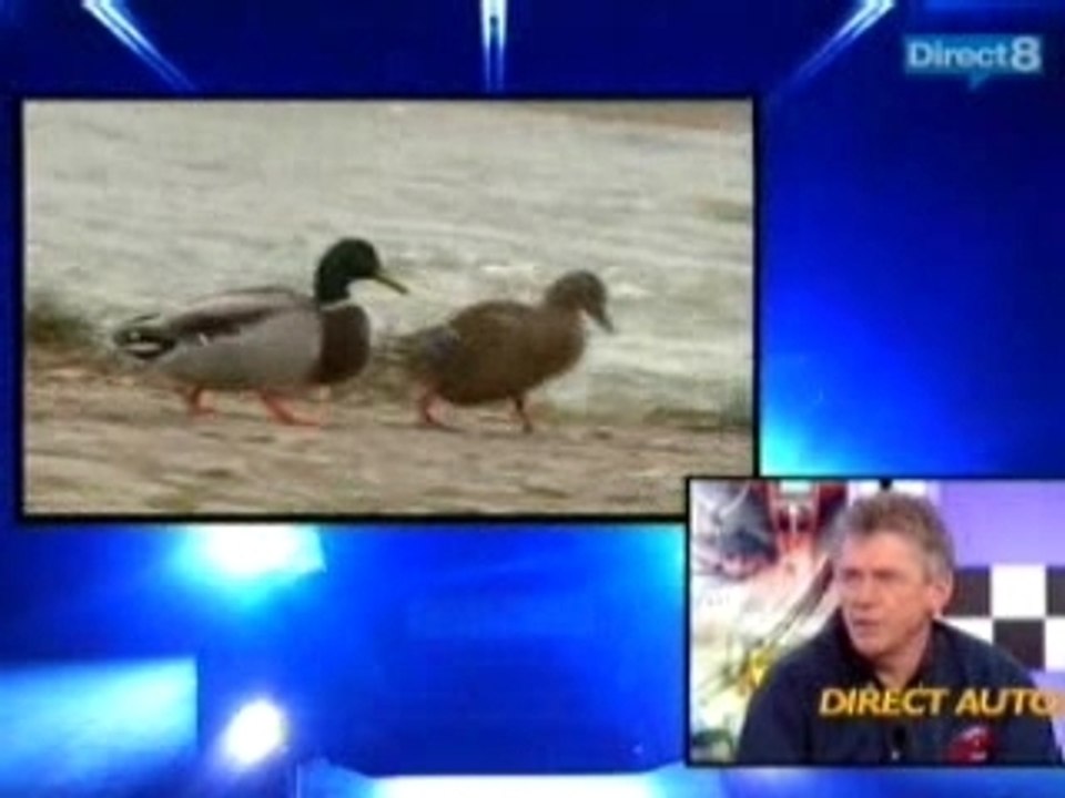 Direct8 oettinger