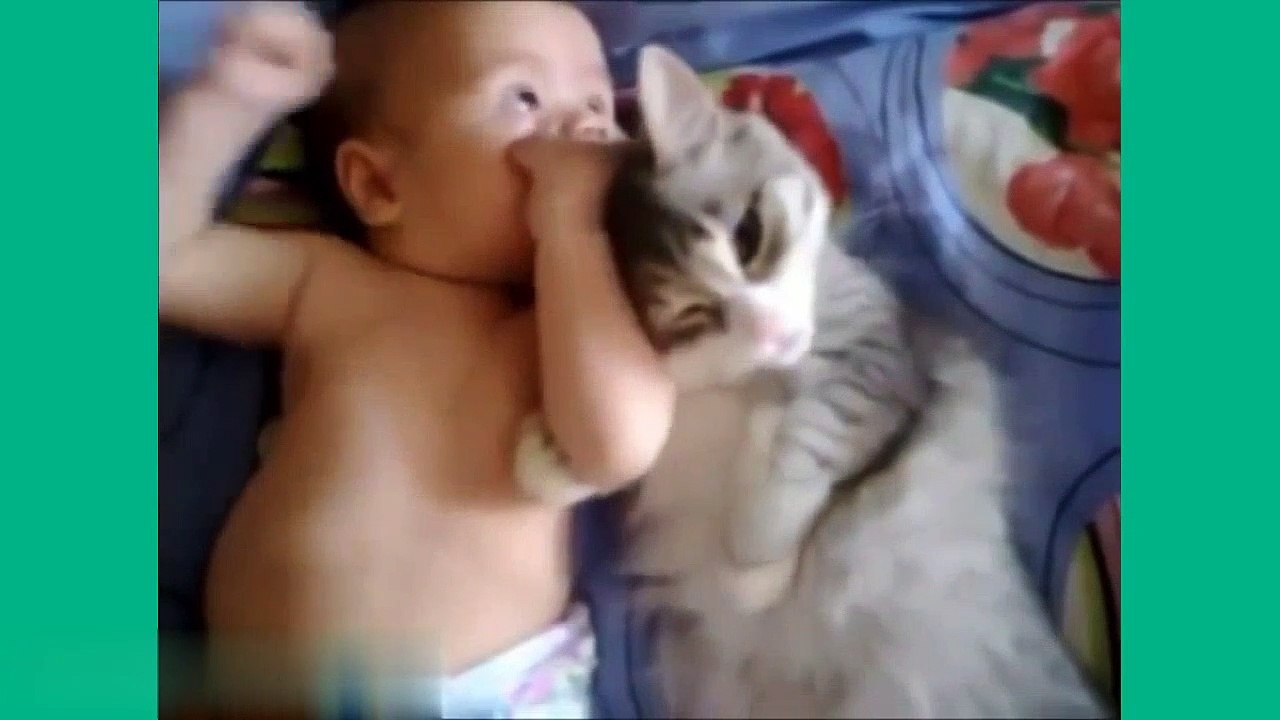 Cats Protecting Babies