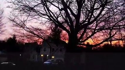 "Violao" by Caalamus from the Album "NanoJazz"