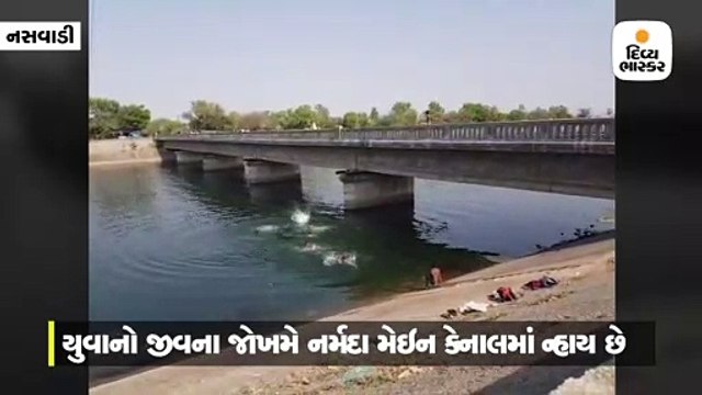 ગરમથી બચવા માટે નસવાડી પાસે યુવાનોએ બ્રિજ પરથી નર્મદા કેનાલમાં કૂદીને જોખમી સ્ટંટ કર્યાં