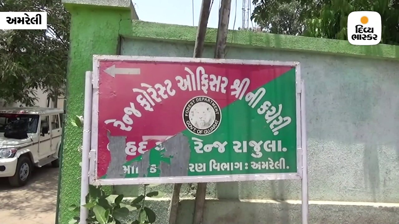 રાજુલા-જાફરાબાદ રેન્જમાં સિંહો માટે 40 પાણીના પોઇન્ટ કાર્યરત