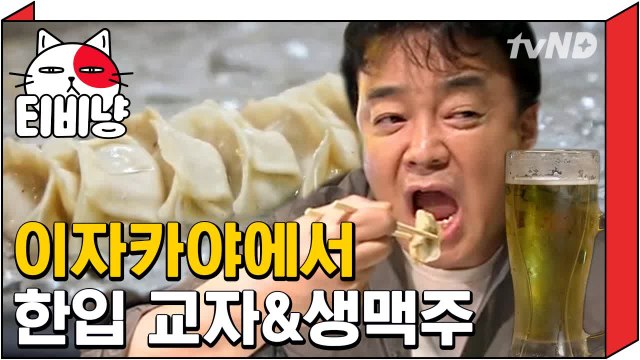 찐만두와 군만두를 한번에! 후쿠오카 야끼교자 | 스트리트푸드파이터 180604 #8