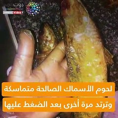 قبل الفسيخ اعرف اشتراطات سلامة السمك المملح