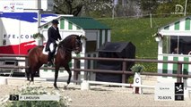 GN2019 | DR_02_Jardy | Pro Elite Grand Prix - Grand National | Philippe LIMOUSIN | ROCK'N ROLL STAR