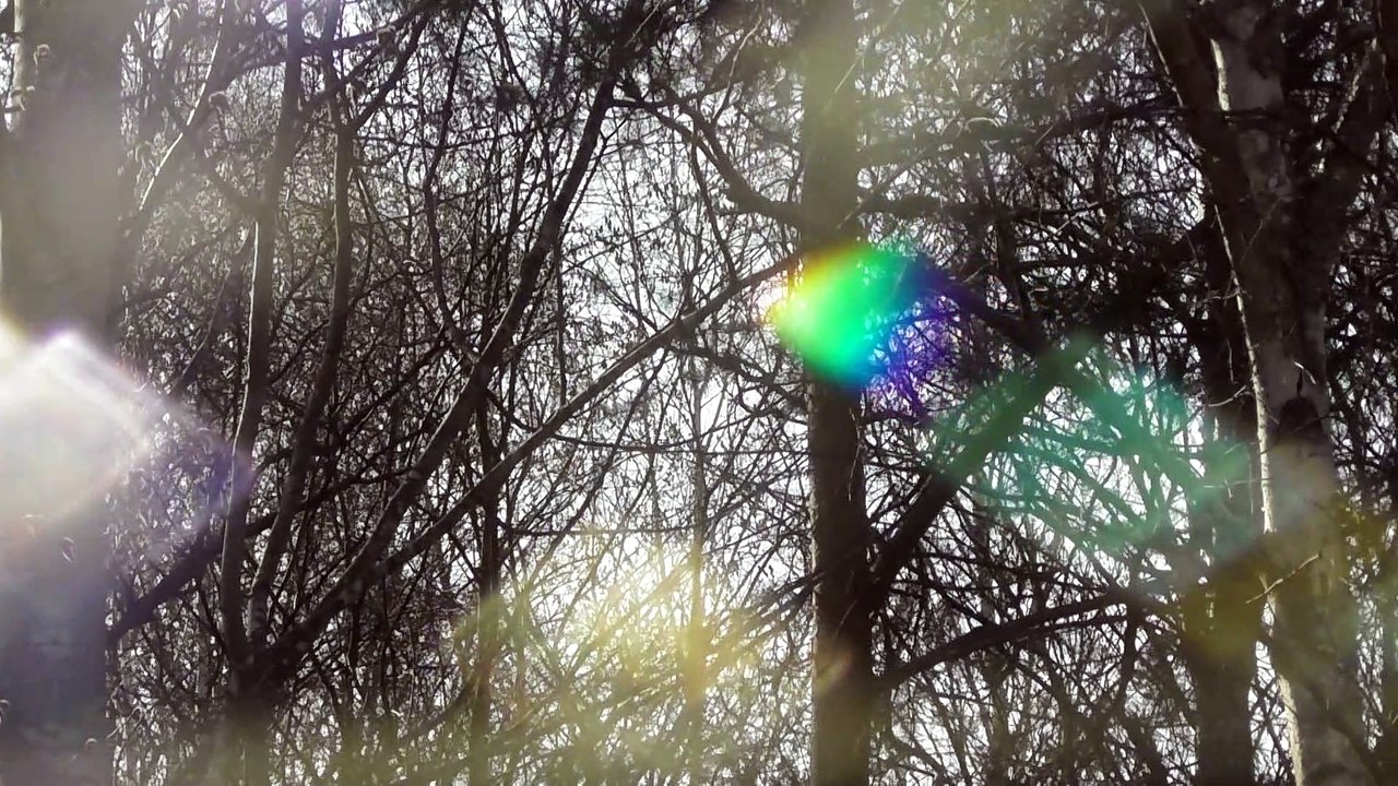 Apr 11 2019 DL2