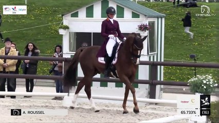 GN2019 | DR_02_Jardy | Pro Elite Grand Prix - Grand National | Alizee ROUSSEL | DON AMOUR DE HUS