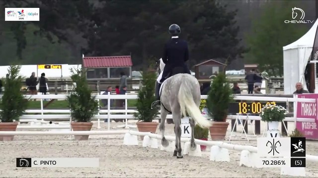 GN2019 | DR_02_Jardy | Pro Elite Grand Prix - Grand National | Carlos PINTO | SULTAO MENEZES*DE LA GESSE