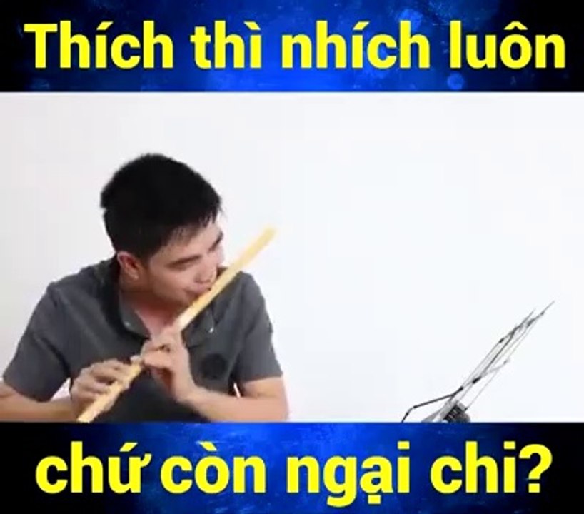 sáo trúc