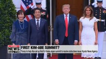 Trump and Abe discuss maintaining sanctions on N. Korea at summit
