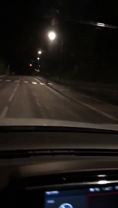 Drôme : un chevreuil filmé dans les rues de Bourg-lès-Valence