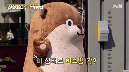 귀여운 달덩이의 등장! 노래도 춤도 다 하는 천재만재!