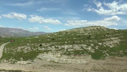 Cudi Dağı Eteklerinde Şenlik