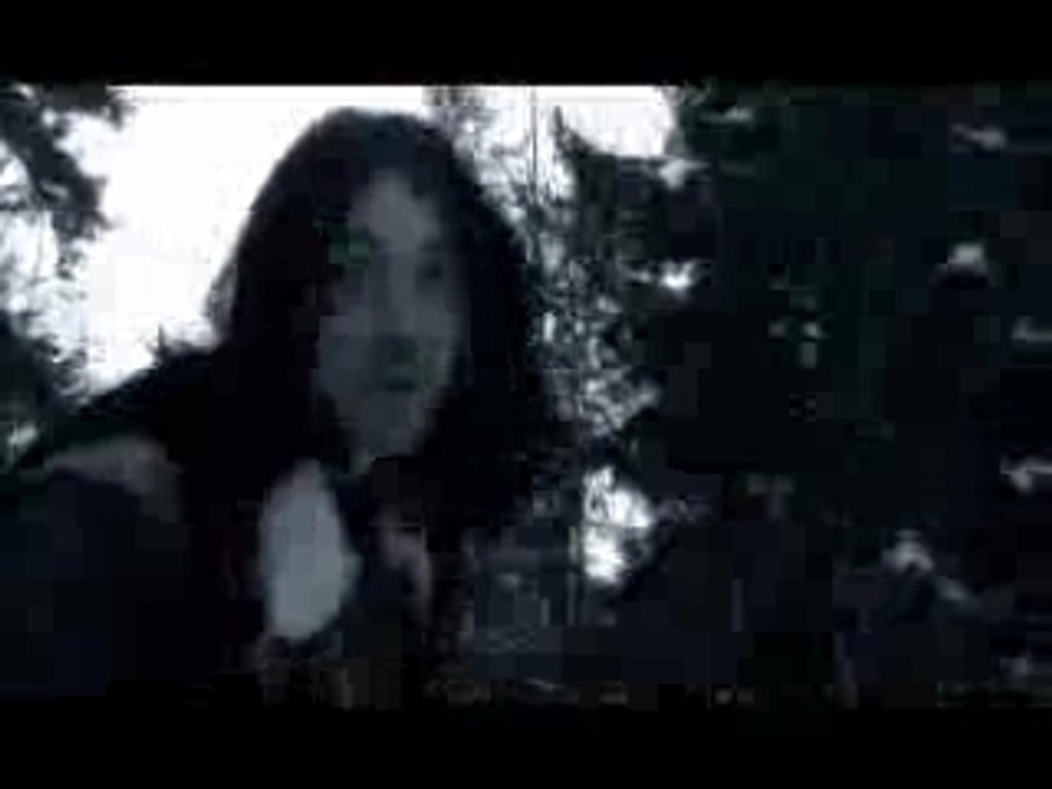 Leps-blizzard