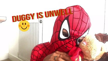 Spiderman plays doctor with Duggy