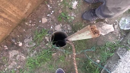 Köpeklere "Yardım Eli" Uzandı - Mersin/