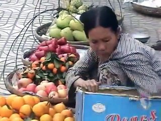 Capri C'est Fini (Lời chia xa - Rainbow) - Elvis Phương