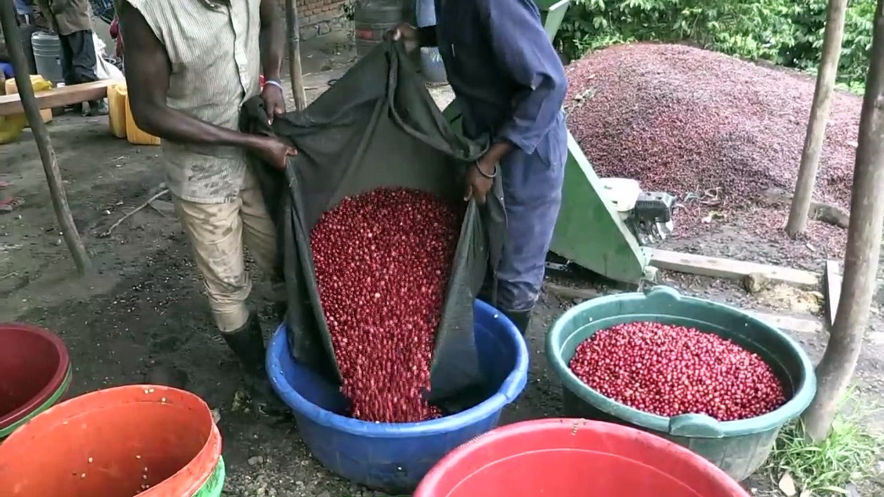 RDC: l'île d'Idjwi, la petite perle des Grands lacs