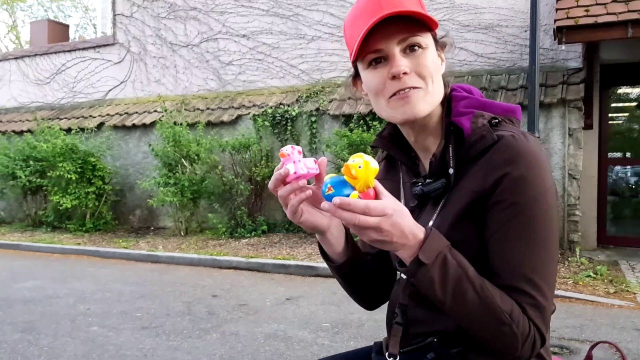 Des canards solidaires à Mulhouse