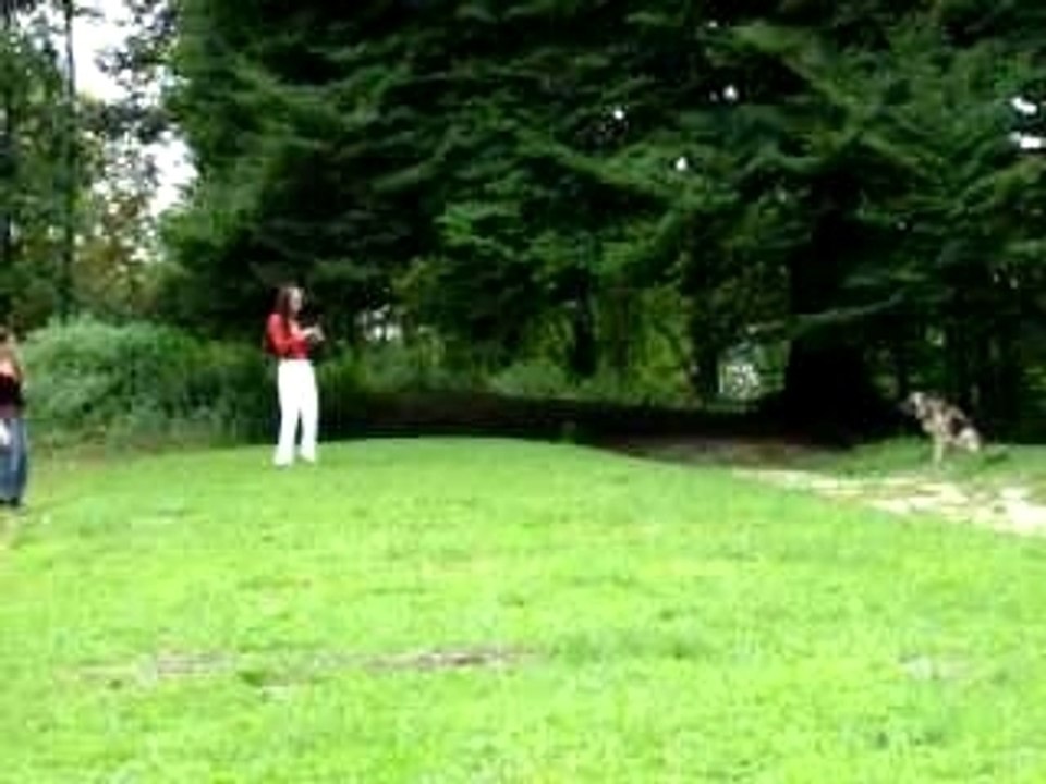 pik nik elektronik , le  même dimanche, un peu plus tard...