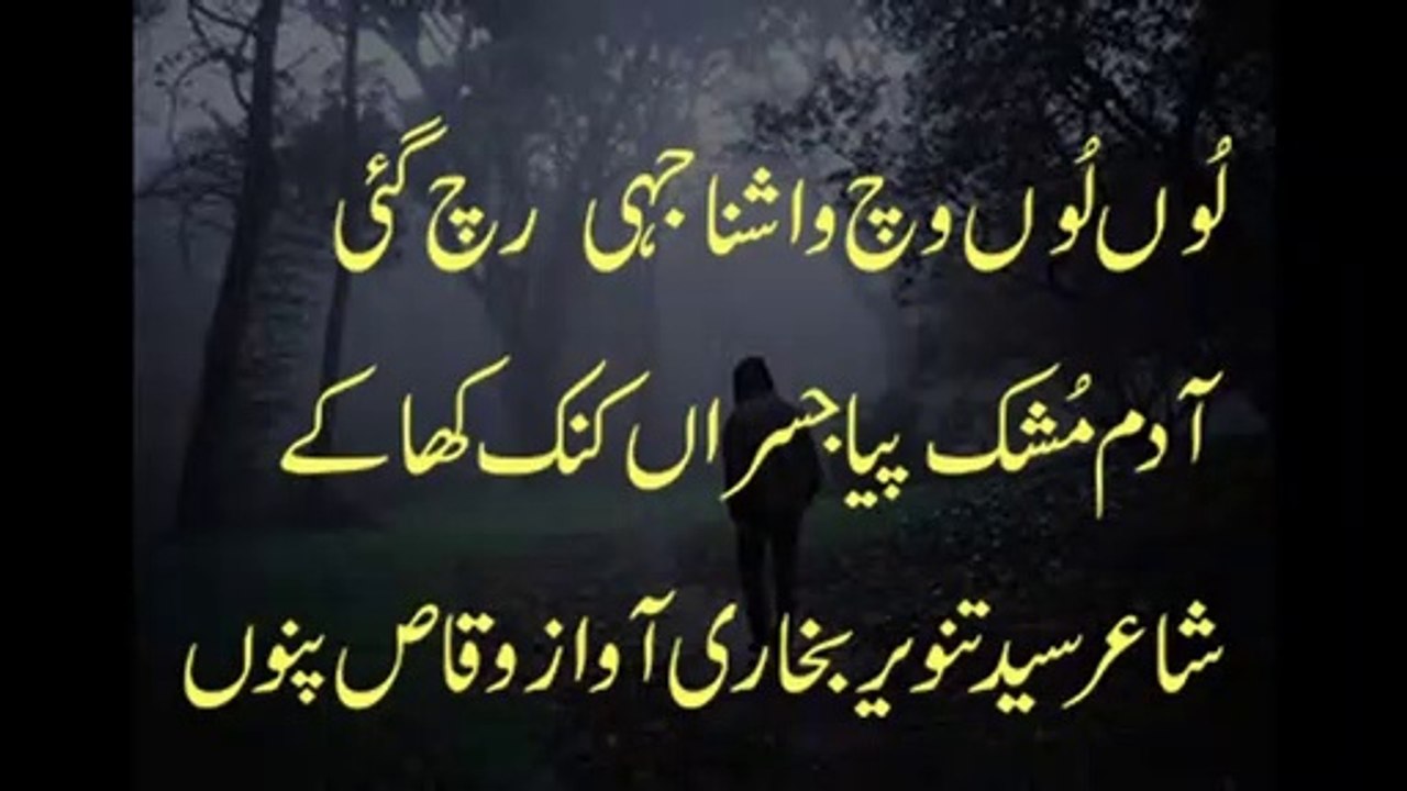 sad punjabi shayari punjabi sad poetry vioce waqas pannu