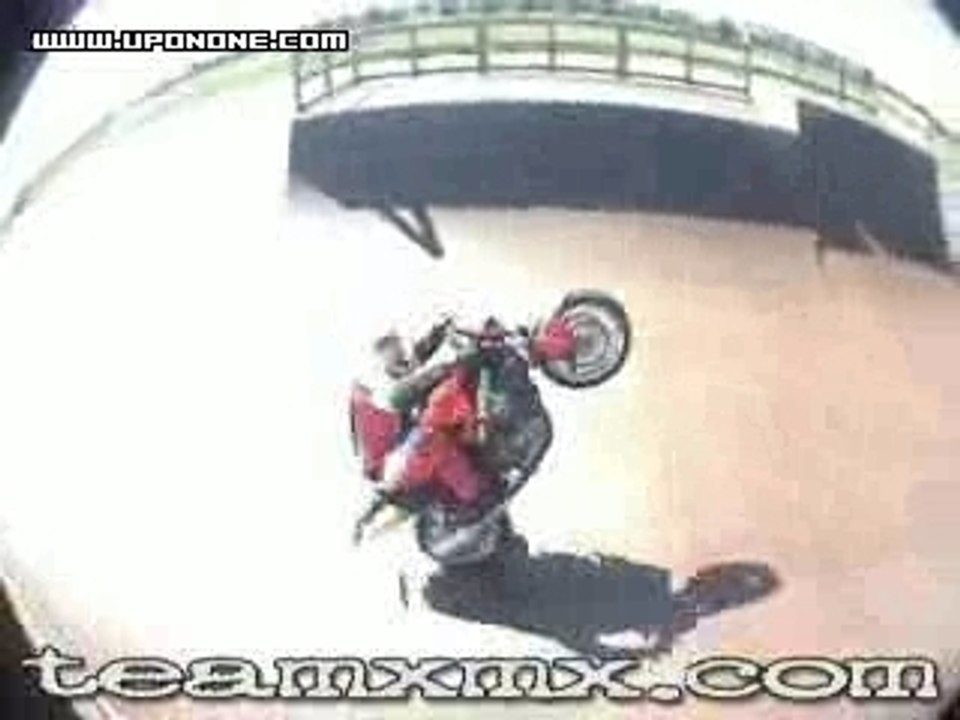 TEAM XMX Crazy_Dan