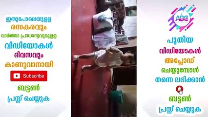 വീട്ടിൽ വിരുന്നു വന്നവർ കുഞ്ഞുമോളോട് ഒരു ഡാൻസ് കളിക്കാമോന്ന് ചോദിച്ചതാ
