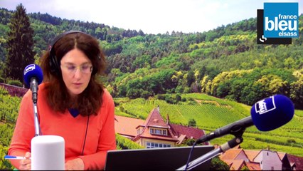 Mission Locale Alsace Nord d'Haguenau : Barbara Richert