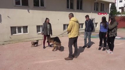 Edirne Keşan'daki 'Köpek Eğitim' Kursuna Büyük İlgi