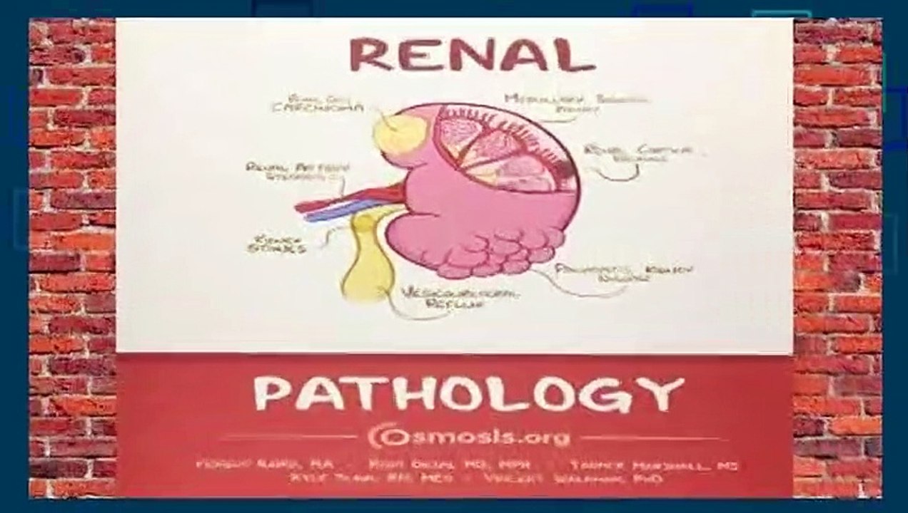 Full E-book  Osmosis Renal Pathology Complete