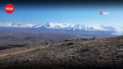 Vaşak, dağ keçisi sürüsüne böyle saldırdı