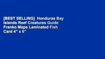 [BEST SELLING]  Honduras Bay Islands Reef Creatures Guide Franko Maps Laminated Fish Card 4