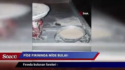 Descargar video: Pide fırınında mide bulandıran görüntü