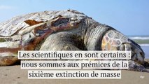 Il faudra 10 millions d’années à la Terre pour se remettre de l’activité humaine