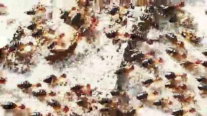 Huge 20-metre termite train weaves across the ground in Thailand