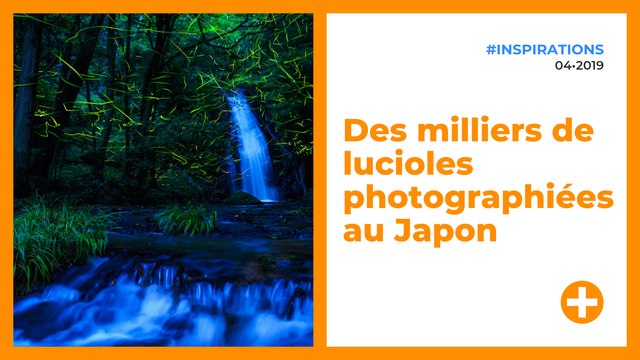 Des milliers de lucioles photographiées au Japon