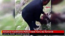 Adıyaman Kayalıklarda Mahsur Kalan Yavru Ayı Kurtarıldı