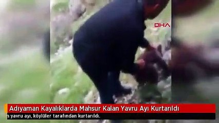 Adıyaman Kayalıklarda Mahsur Kalan Yavru Ayı Kurtarıldı