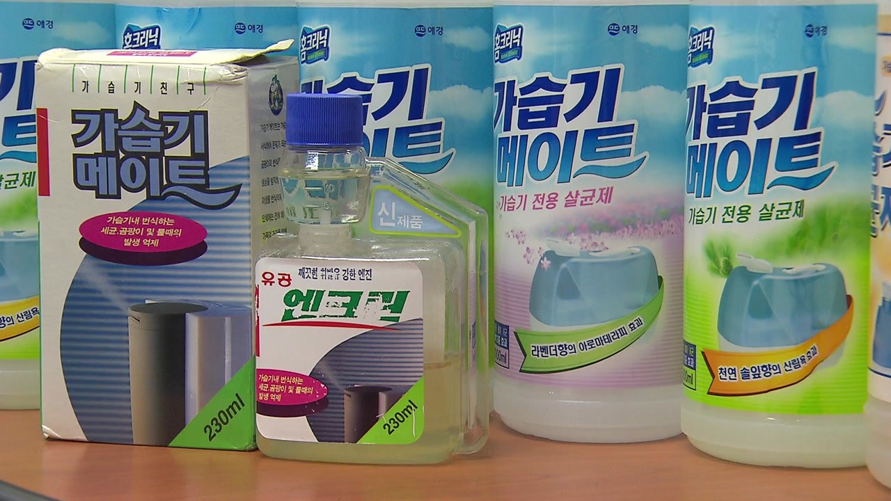 "가습기 살균제 유해성 책임"...애경 前 대표 내일 영장 심사 / YTN